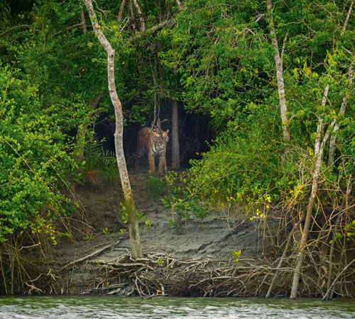 Memorable Dooars Tour