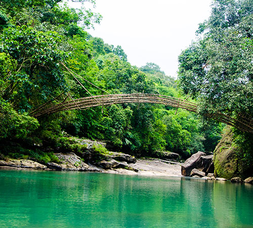 Stunning Assam and Meghalaya