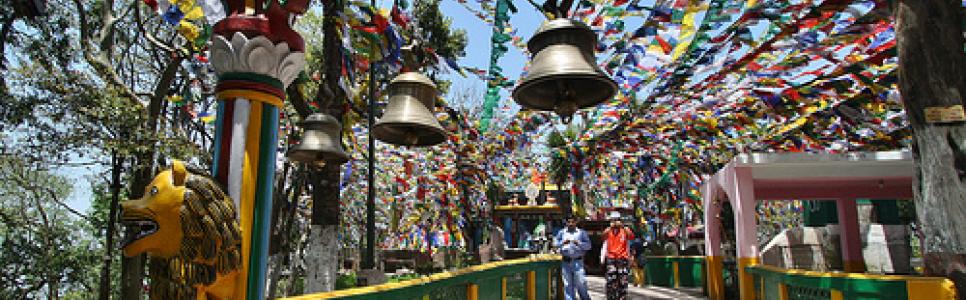 Day Trip in Darjeeling